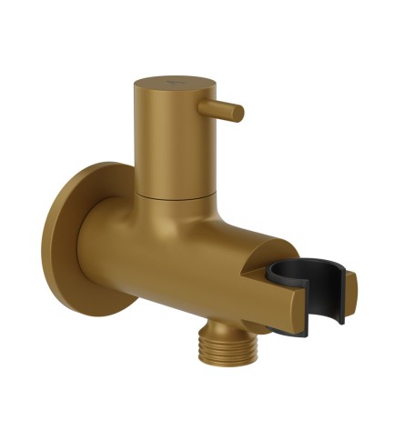 Gold Matt PVDGold Matt PVD