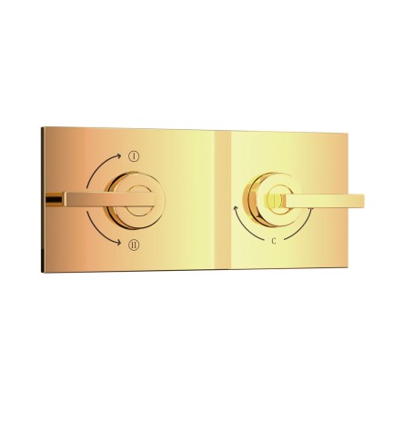 Gold  Bright PVD Gold  Bright PVD