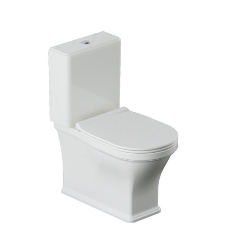 Rimless bowl with cistern for coupled WC