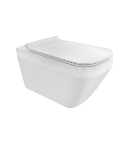 Rimless Wall Hung WC