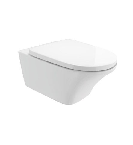 Rimless Wall Hung WC