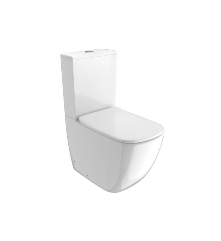 Bowl With Cistern For Coupled WC