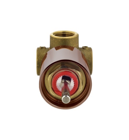 Blush Gold PVD Blush Gold PVD