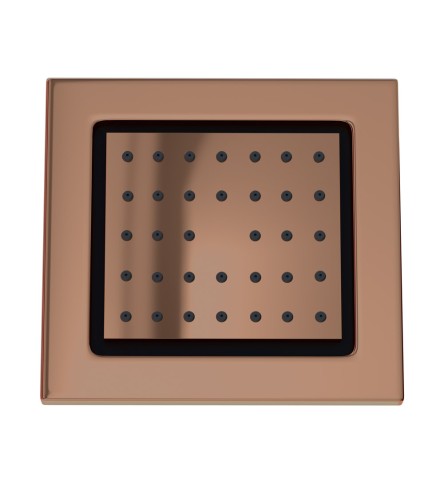 Blush Gold PVD Blush Gold PVD