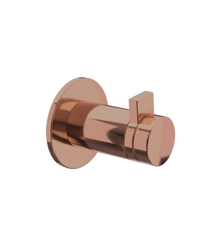 Blush Gold PVD Blush Gold PVD