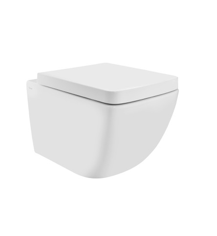 Rimless Wall Hung WC