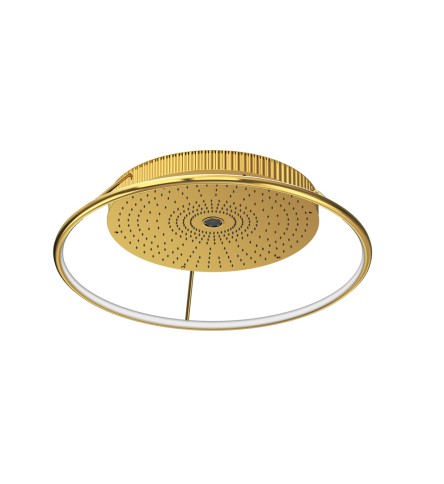 Gold  Bright PVD Gold  Bright PVD