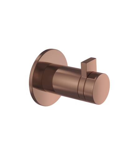 Blush Gold PVD Blush Gold PVD