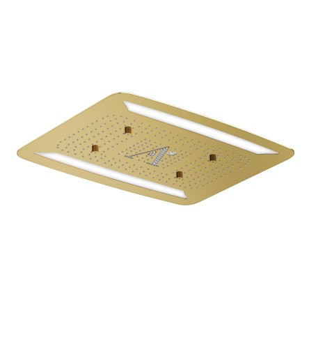 Gold  Bright PVD Gold  Bright PVD