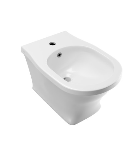 Blind installation wall hung bidet