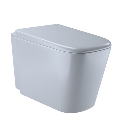 Wall Hung WC
