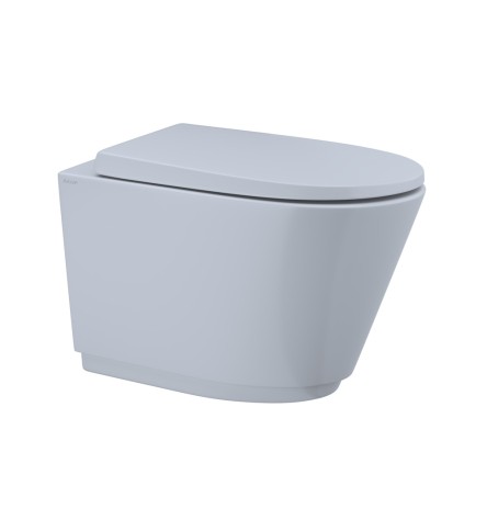 Wall Hung WC