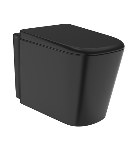 Wall Hung WC