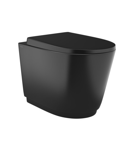 Wall Hung WC
