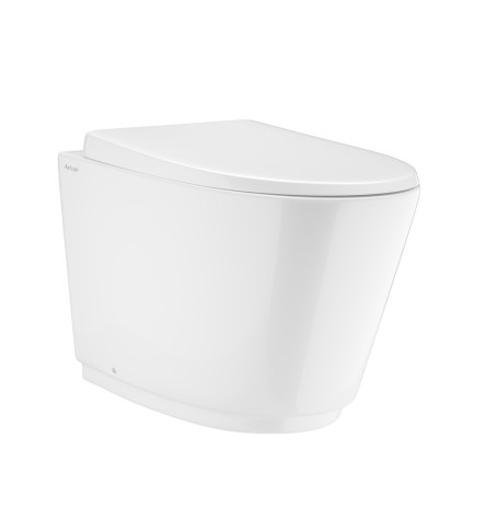 Rimless Back To Wall WC