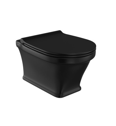 Rimless wall hung WC