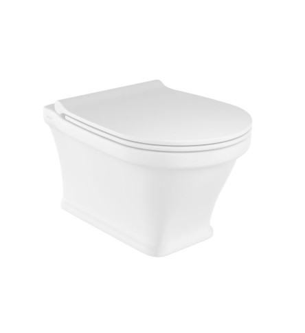 Rimless wall hung WC