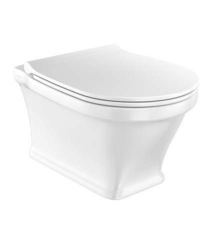 Rimless wall hung WC