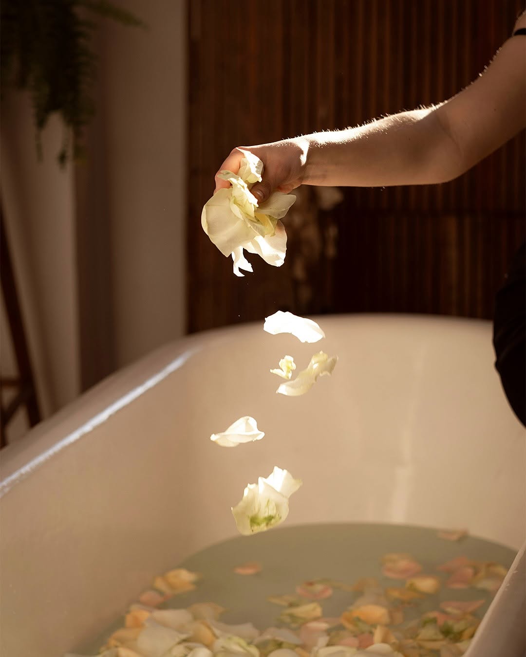 Stylish Faucet